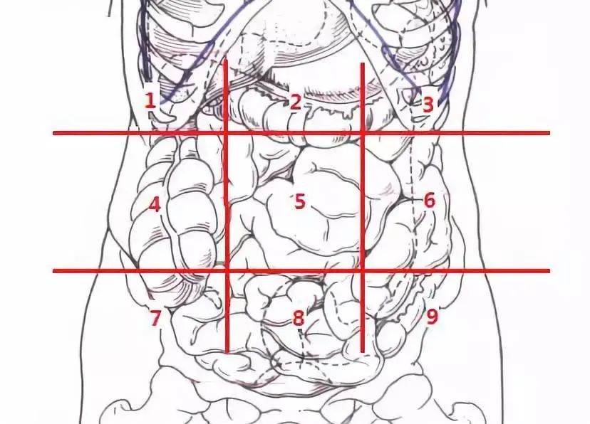 腹痛没那么简单，“九宫图”带你了解腹痛的秘密！