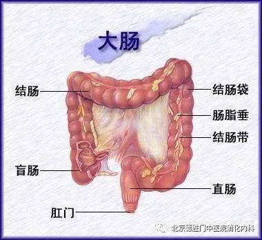 结肠炎在身体的哪个部位会痛