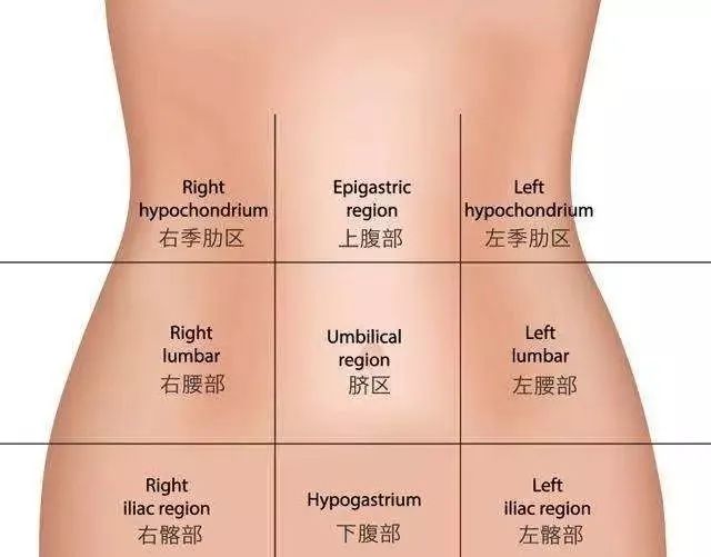 肚子痛到底是哪里痛？带你找出腹痛原因