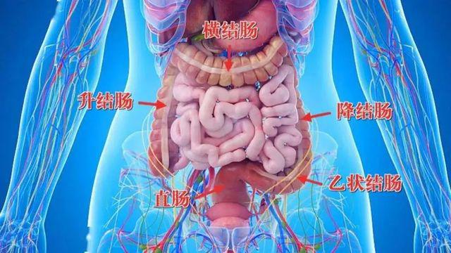 肠道生病时，排便会出现3个信号，若你有，要提高警惕