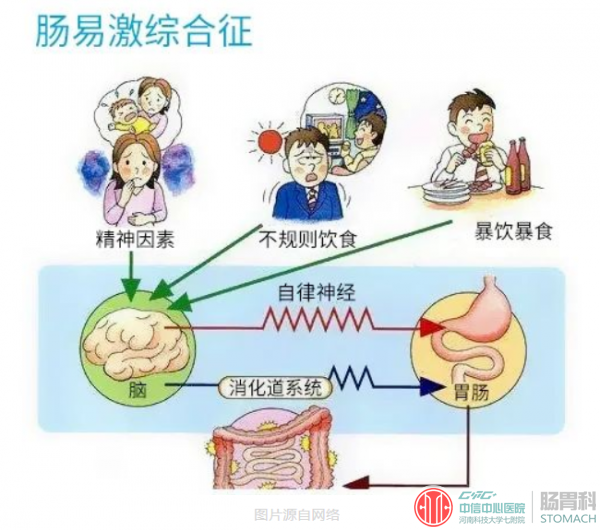 高考在即，如何缓解考前肠胃不适？